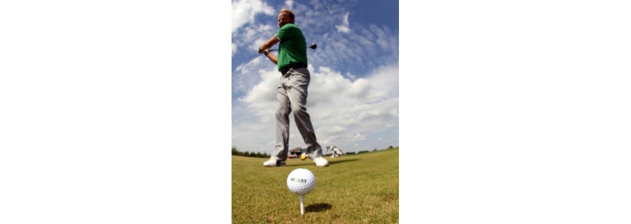 Festshop.dk leverer event til Aros Forsikring golfdag