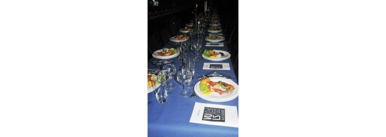 Stor fest for Venstre Ungdom- Festshop leverer til landsst�vne 2014