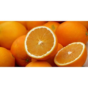 Appelsiner 15 kg. til Appelsinpresser (Salg)